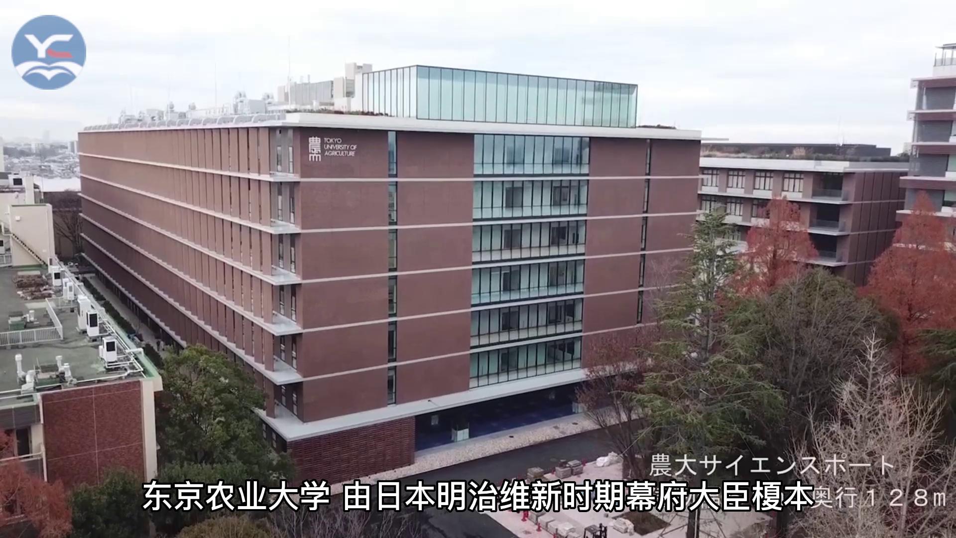 教学社 - 東京農業大学の通販 by Tuxedo Cat's shop｜キョウ
